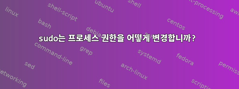 sudo는 프로세스 권한을 어떻게 변경합니까?