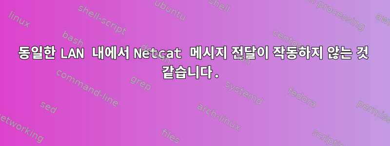 동일한 LAN 내에서 Netcat 메시지 전달이 작동하지 않는 것 같습니다.