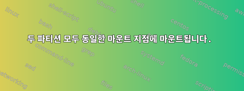 두 파티션 모두 동일한 마운트 지점에 마운트됩니다.