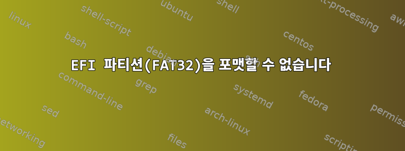 EFI 파티션(FAT32)을 포맷할 수 없습니다