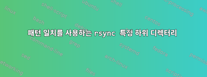 패턴 일치를 사용하는 rsync 특정 하위 디렉터리