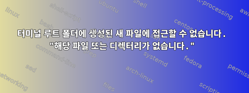 터미널 루트 폴더에 생성된 새 파일에 접근할 수 없습니다. "해당 파일 또는 디렉터리가 없습니다."