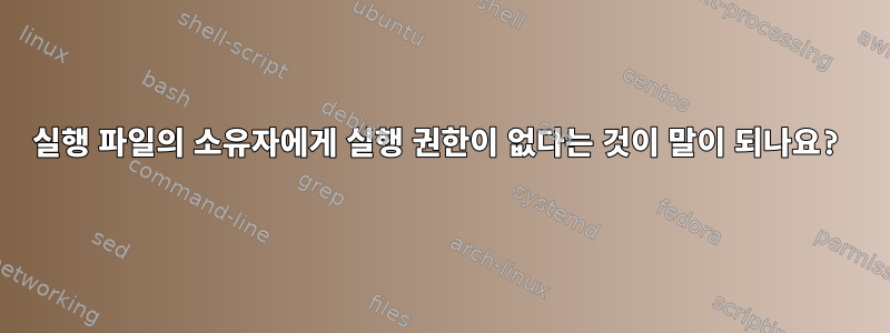 실행 파일의 소유자에게 실행 권한이 없다는 것이 말이 되나요?