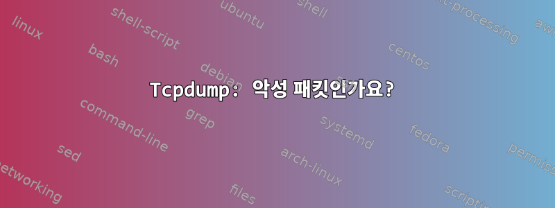 Tcpdump: 악성 패킷인가요?