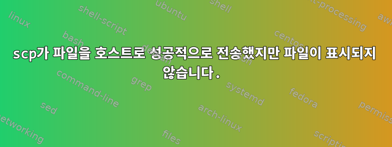 scp가 파일을 호스트로 성공적으로 전송했지만 파일이 표시되지 않습니다.