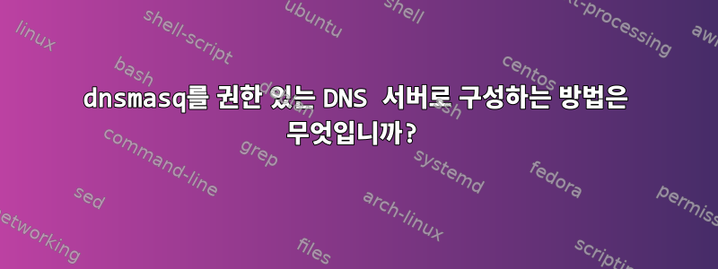 dnsmasq를 권한 있는 DNS 서버로 구성하는 방법은 무엇입니까?