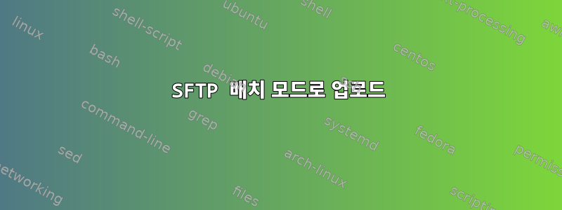 SFTP 배치 모드로 업로드