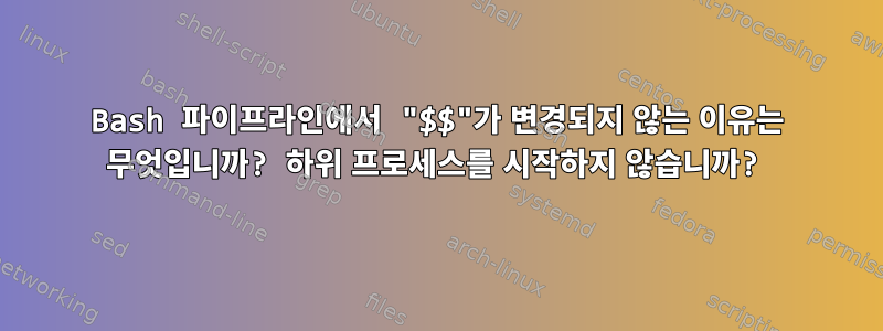 Bash 파이프라인에서 "$$"가 변경되지 않는 이유는 무엇입니까? 하위 프로세스를 시작하지 않습니까?