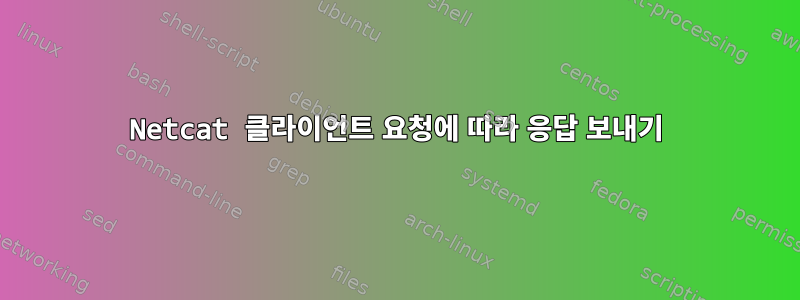 Netcat 클라이언트 요청에 따라 응답 보내기