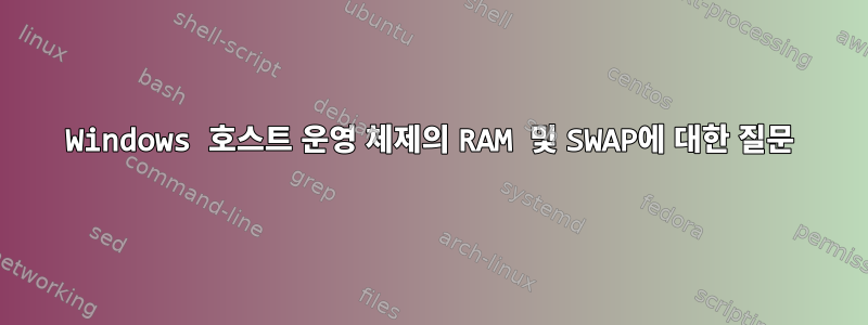 Windows 호스트 운영 체제의 RAM 및 SWAP에 대한 질문