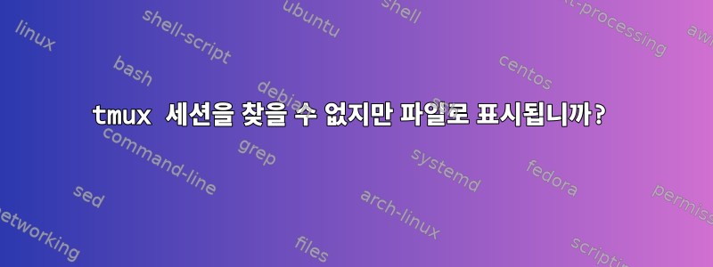 tmux 세션을 찾을 수 없지만 파일로 표시됩니까?