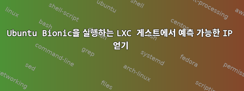 Ubuntu Bionic을 실행하는 LXC 게스트에서 예측 가능한 IP 얻기