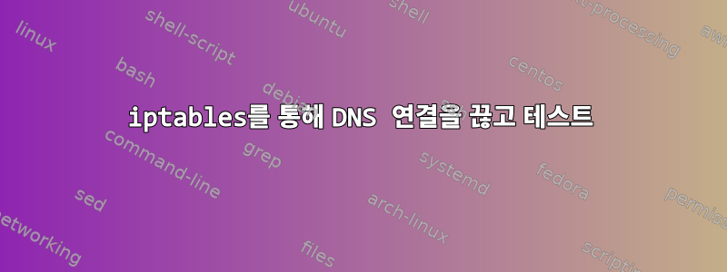 iptables를 통해 DNS 연결을 끊고 테스트