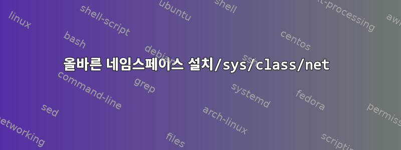 올바른 네임스페이스 설치/sys/class/net