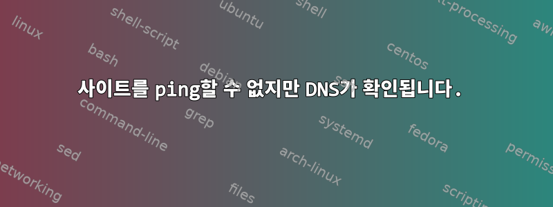 사이트를 ping할 수 없지만 DNS가 확인됩니다.