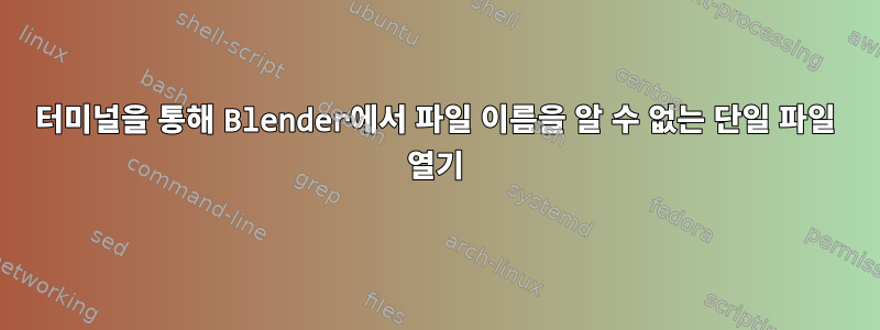 터미널을 통해 Blender에서 파일 이름을 알 수 없는 단일 파일 열기