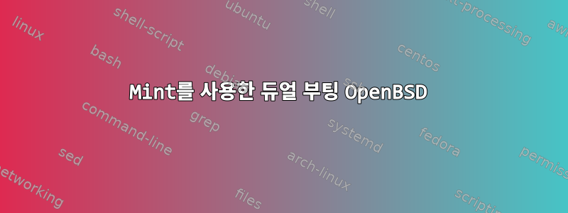 Mint를 사용한 듀얼 부팅 OpenBSD