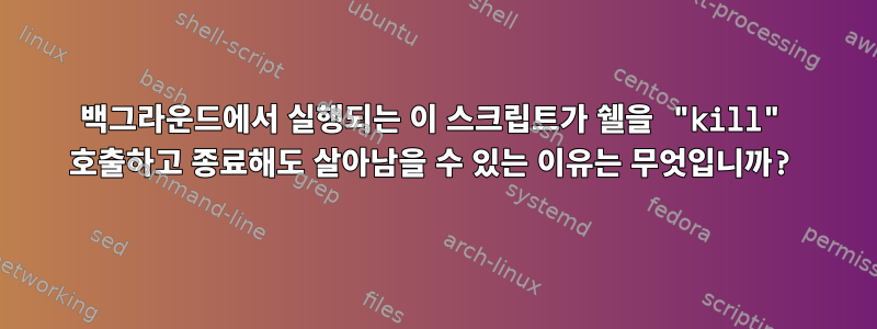 백그라운드에서 실행되는 이 스크립트가 쉘을 "kill" 호출하고 종료해도 살아남을 수 있는 이유는 무엇입니까?