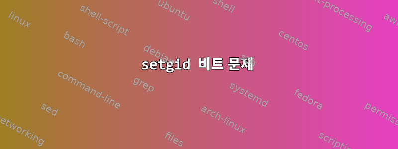 setgid 비트 문제