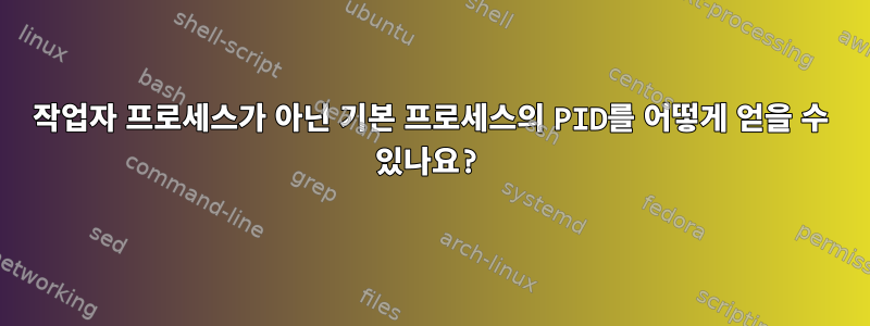 작업자 프로세스가 아닌 기본 프로세스의 PID를 어떻게 얻을 수 있나요?