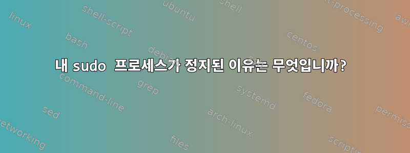 내 sudo 프로세스가 정지된 이유는 무엇입니까?