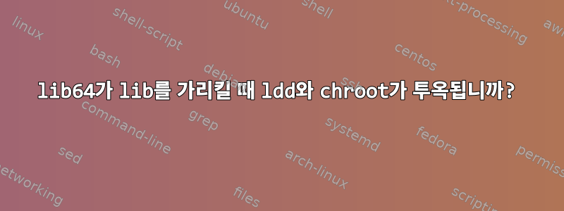 lib64가 lib를 가리킬 때 ldd와 chroot가 투옥됩니까?