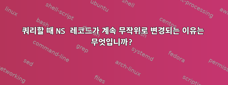 쿼리할 때 NS 레코드가 계속 무작위로 변경되는 이유는 무엇입니까?