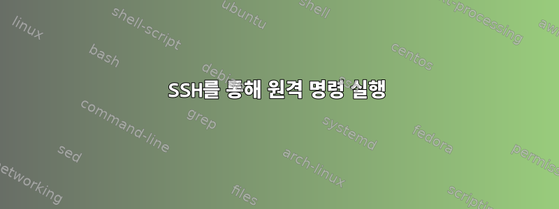 SSH를 통해 원격 명령 실행