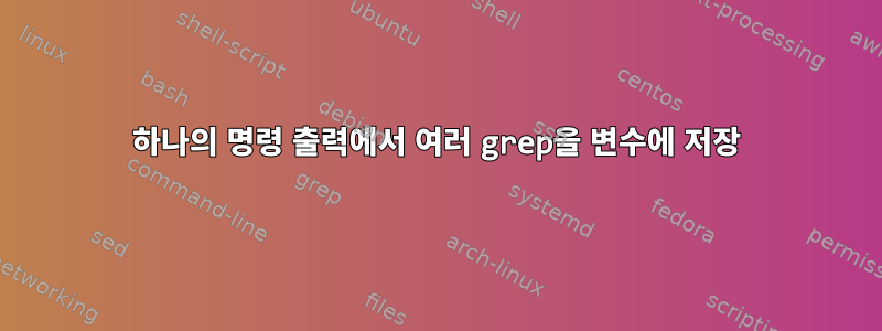 하나의 명령 출력에서 ​​여러 grep을 변수에 저장