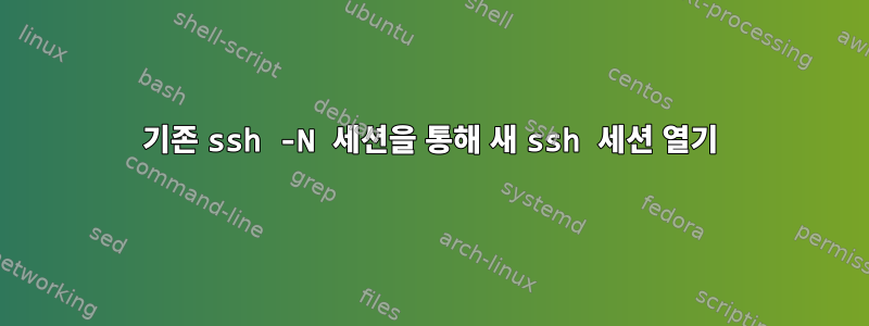 기존 ssh -N 세션을 통해 새 ssh 세션 열기