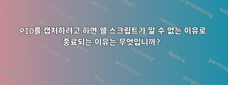 PID를 캡처하려고 하면 쉘 스크립트가 알 수 없는 이유로 종료되는 이유는 무엇입니까?