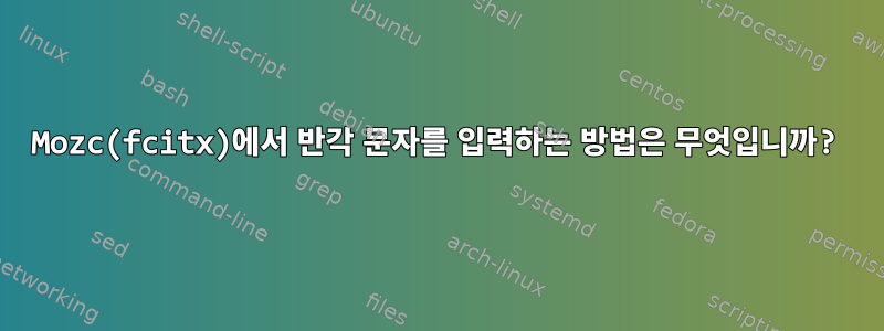 Mozc(fcitx)에서 반각 문자를 입력하는 방법은 무엇입니까?