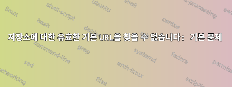 저장소에 대한 유효한 기본 URL을 찾을 수 없습니다: 기본 문제