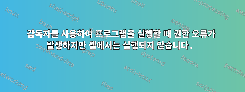 감독자를 사용하여 프로그램을 실행할 때 권한 오류가 발생하지만 셸에서는 실행되지 않습니다.