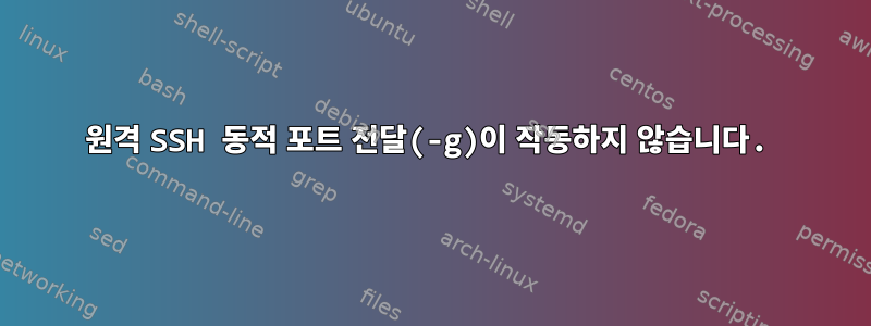 원격 SSH 동적 포트 전달(-g)이 작동하지 않습니다.