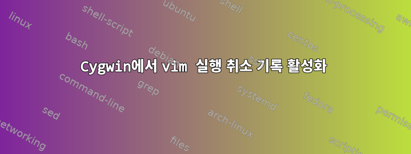 Cygwin에서 vim 실행 취소 기록 활성화