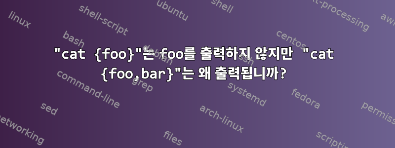 "cat {foo}"는 foo를 출력하지 않지만 "cat {foo,bar}"는 왜 출력됩니까?