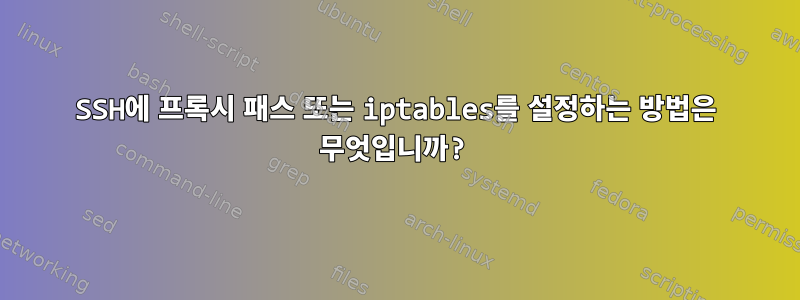 SSH에 프록시 패스 또는 iptables를 설정하는 방법은 무엇입니까?