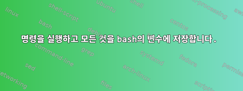 명령을 실행하고 모든 것을 bash의 변수에 저장합니다.