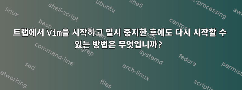 트랩에서 Vim을 시작하고 일시 중지한 후에도 다시 시작할 수 있는 방법은 무엇입니까?