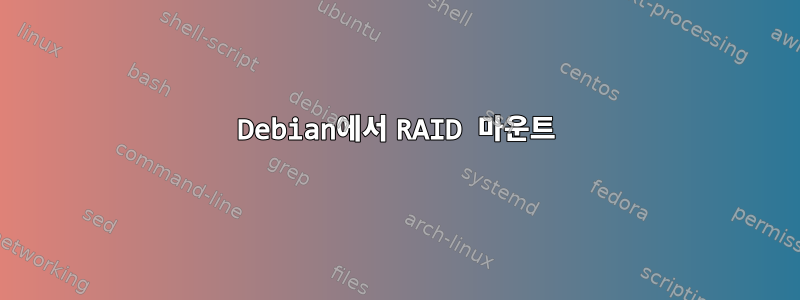 Debian에서 RAID 마운트