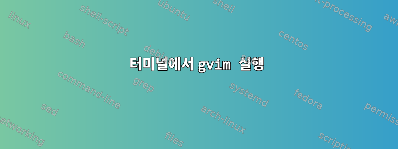 터미널에서 gvim 실행