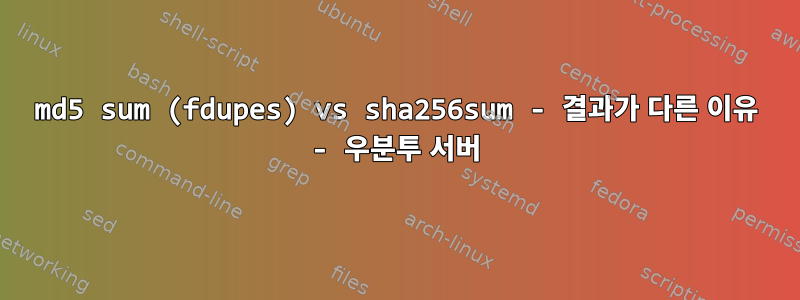 md5 sum (fdupes) vs sha256sum - 결과가 다른 이유 - 우분투 서버