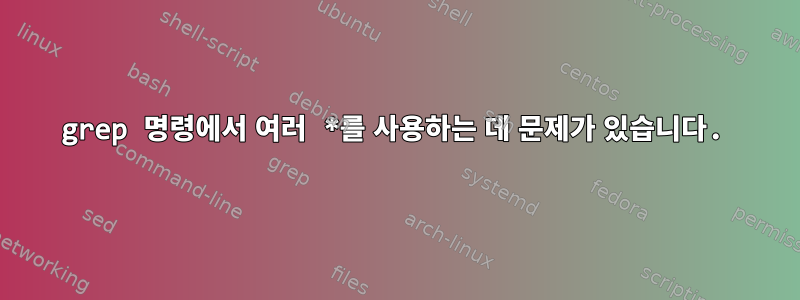 grep 명령에서 여러 *를 사용하는 데 문제가 있습니다.