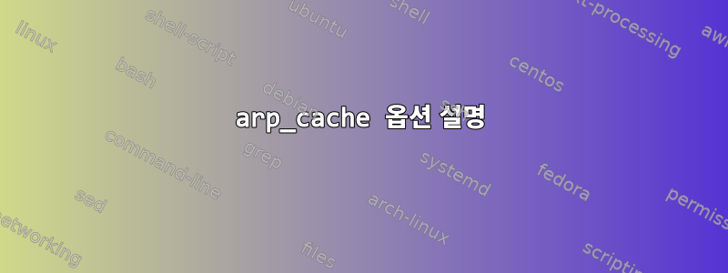 arp_cache 옵션 설명