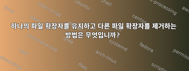 하나의 파일 확장자를 유지하고 다른 파일 확장자를 제거하는 방법은 무엇입니까?