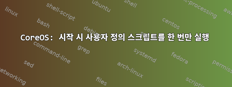 CoreOS: 시작 시 사용자 정의 스크립트를 한 번만 실행