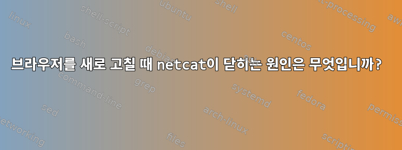 브라우저를 새로 고칠 때 netcat이 닫히는 원인은 무엇입니까?