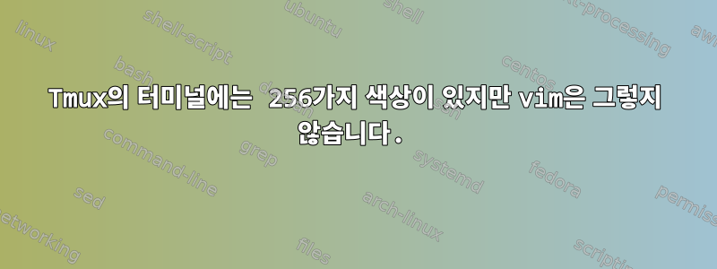 Tmux의 터미널에는 256가지 색상이 있지만 vim은 그렇지 않습니다.