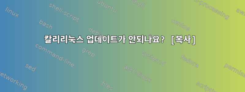 칼리리눅스 업데이트가 안되나요? [복사]